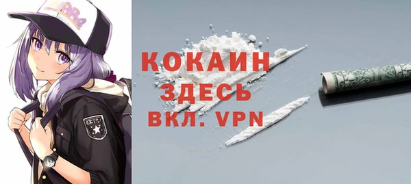 ПСИЛОЦИБИНОВЫЕ ГРИБЫ Гусев