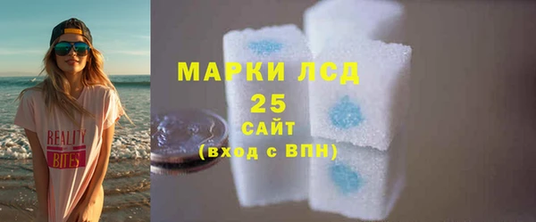 ПСИЛОЦИБИНОВЫЕ ГРИБЫ Гусев
