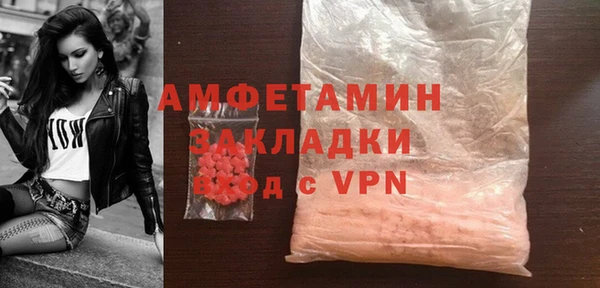 ПСИЛОЦИБИНОВЫЕ ГРИБЫ Гусев