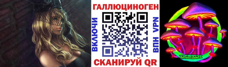 наркотики  Дальнереченск  Псилоцибиновые грибы мухоморы 